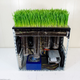 Illustration for article titled What Is Growing from this Working Computer?